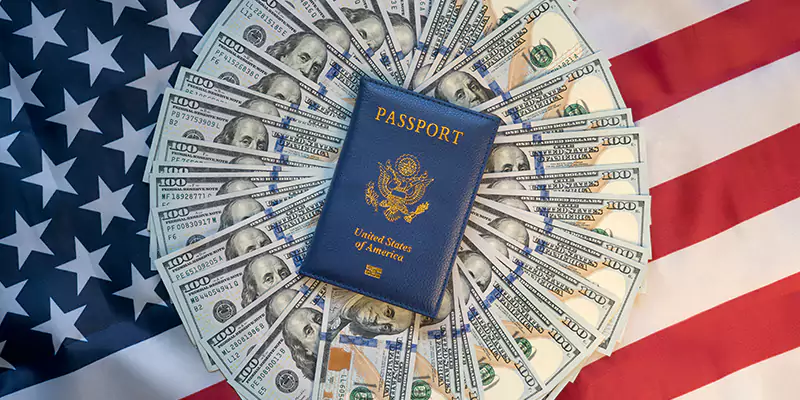 Why Choose Us for Your US Investment Visa Journey for Germany?